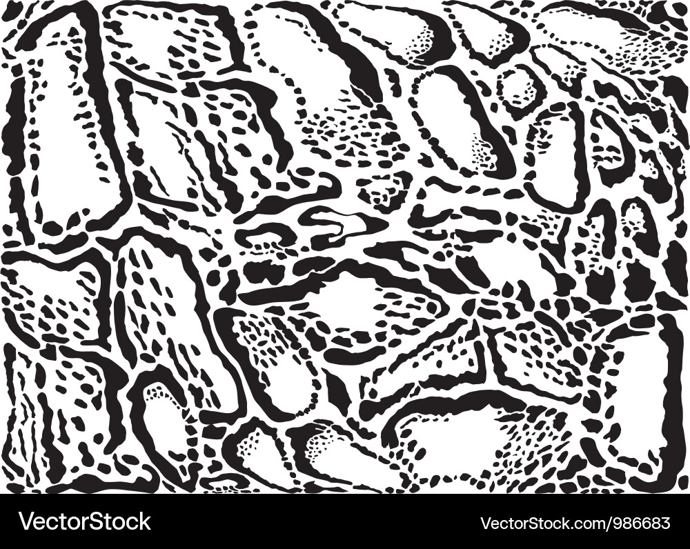 Clouded Leopard Print Background vector image