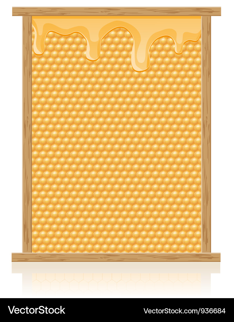 Honeycomb Pattern vector image