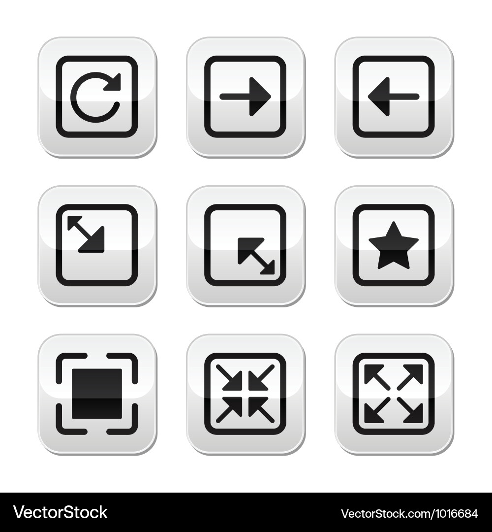 Website Size Buttons Set vector image