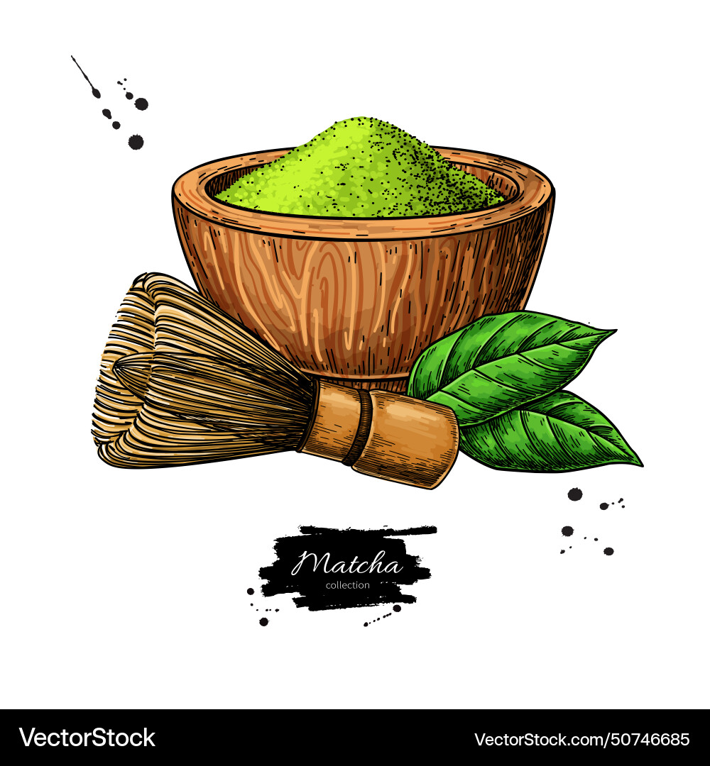 Matcha tea drawing green powder leaves vector image