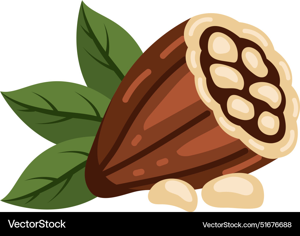 Cocoa pod and leaf Vector Image