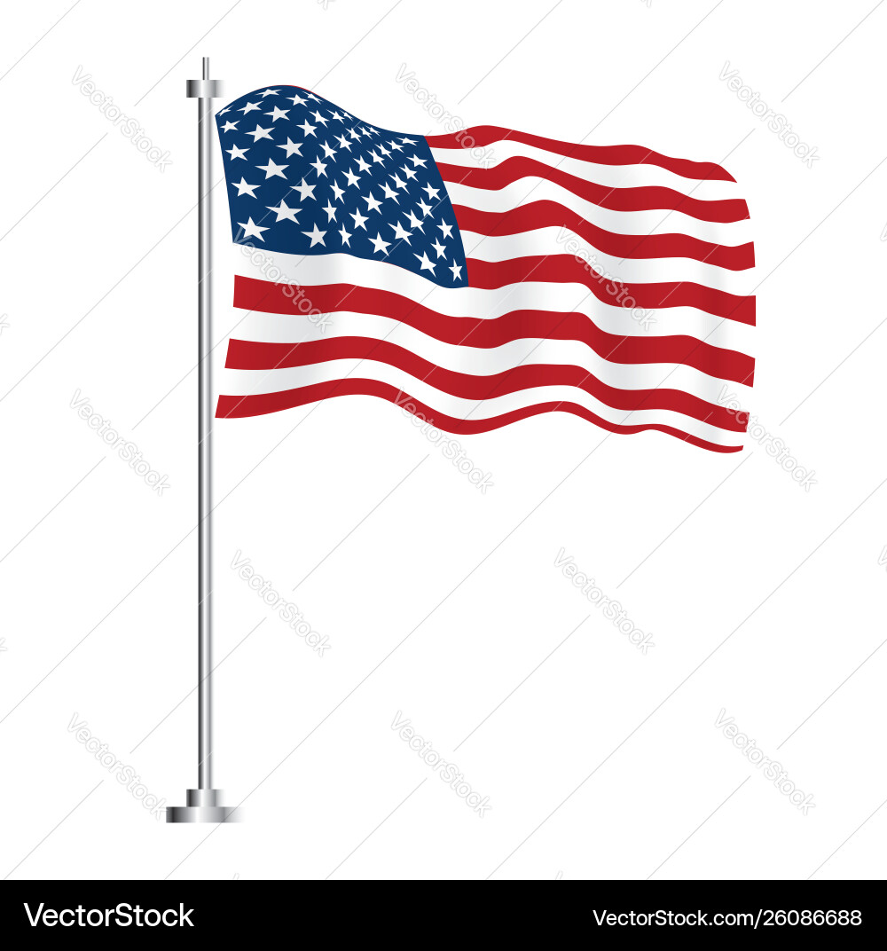 United States Flag vector image