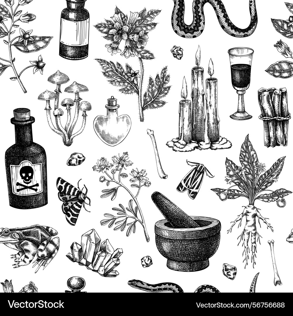 Witchcraft seamless pattern bohemian background Witchcraft seamless pattern bohemian background Vector Image