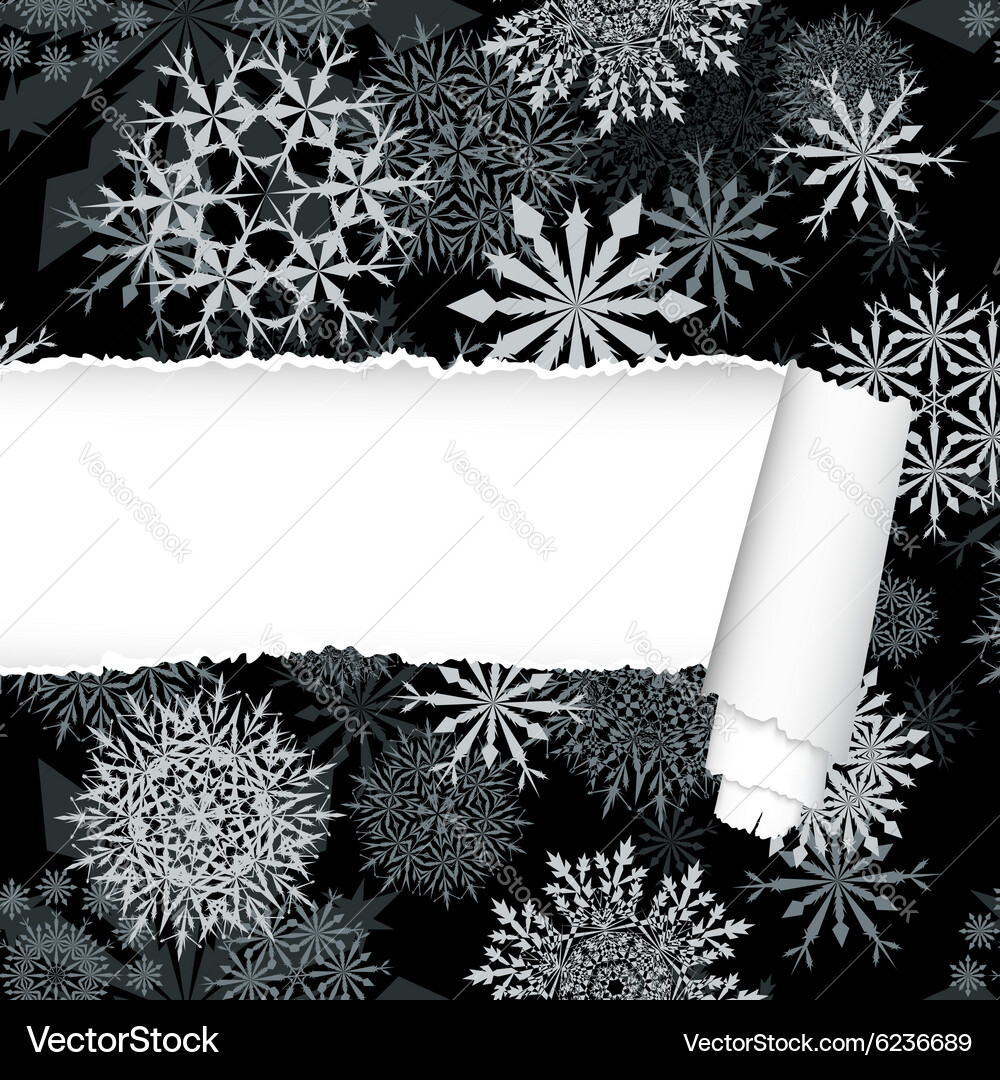 Snowflakes pattern with torn stripe vector image
