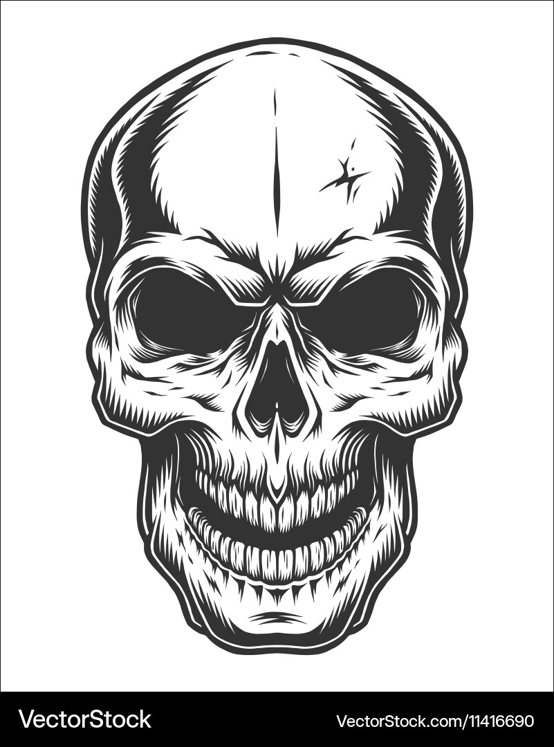 Dramatic Monochrome Skull Vector Image