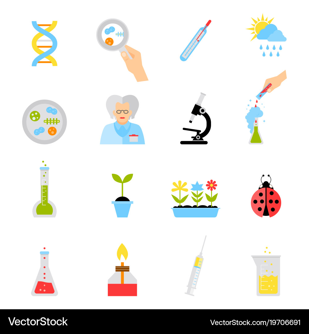 Flat design concepts Vector Image