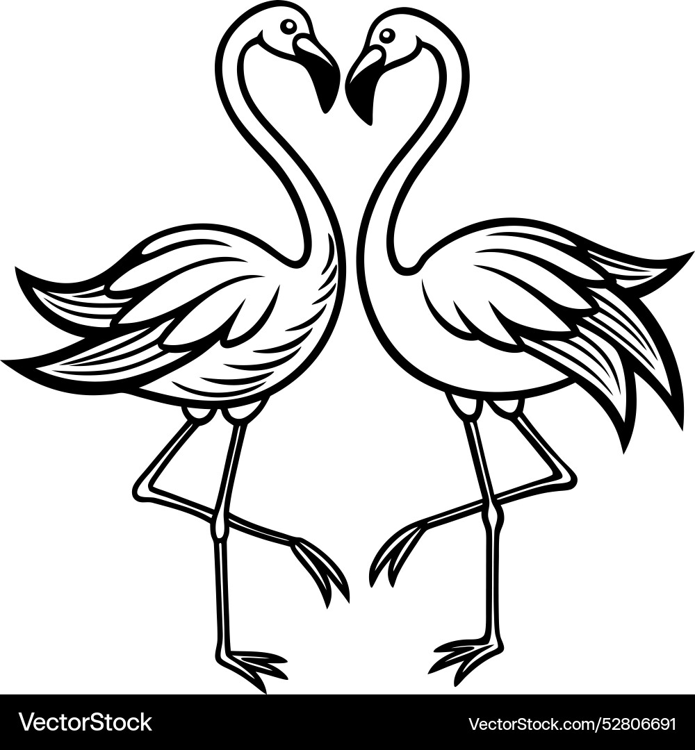 Simple pair of flamingos dancing with their necks vector image