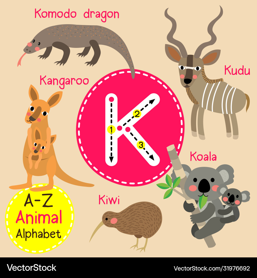 Letter k tracing kangaroo kiwi koala komodo vector image