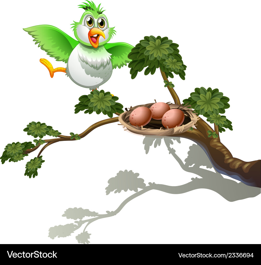 A cute bird at the branch of tree with nest vector image