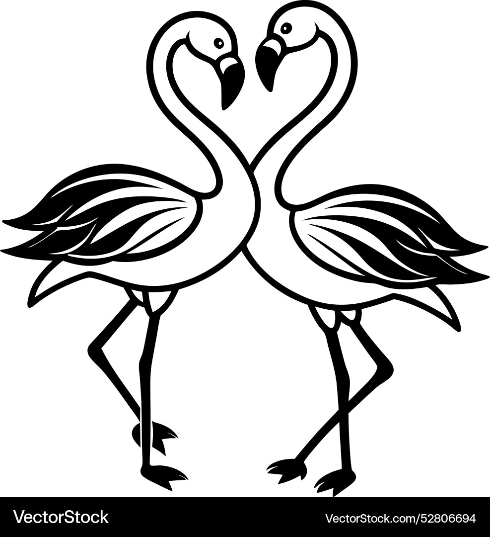 Simple pair of flamingos dancing with their necks vector image