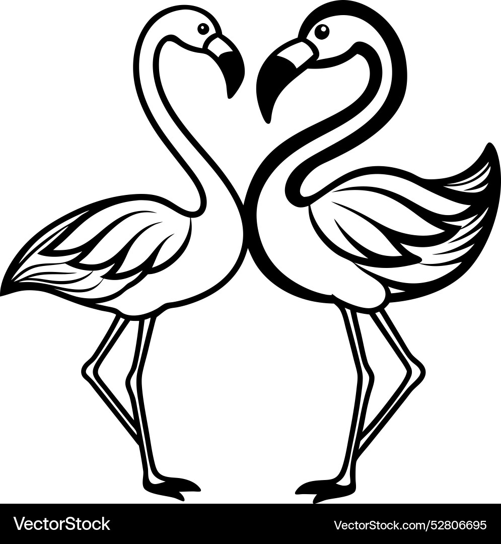 Simple pair of flamingos dancing with their necks vector image