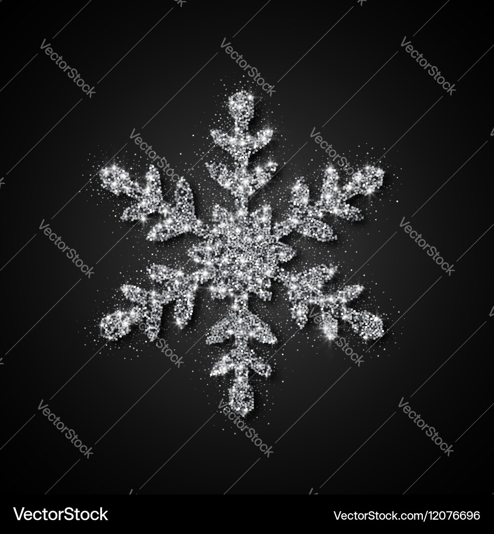Silver glitter snowflake Royalty Free Vector Image