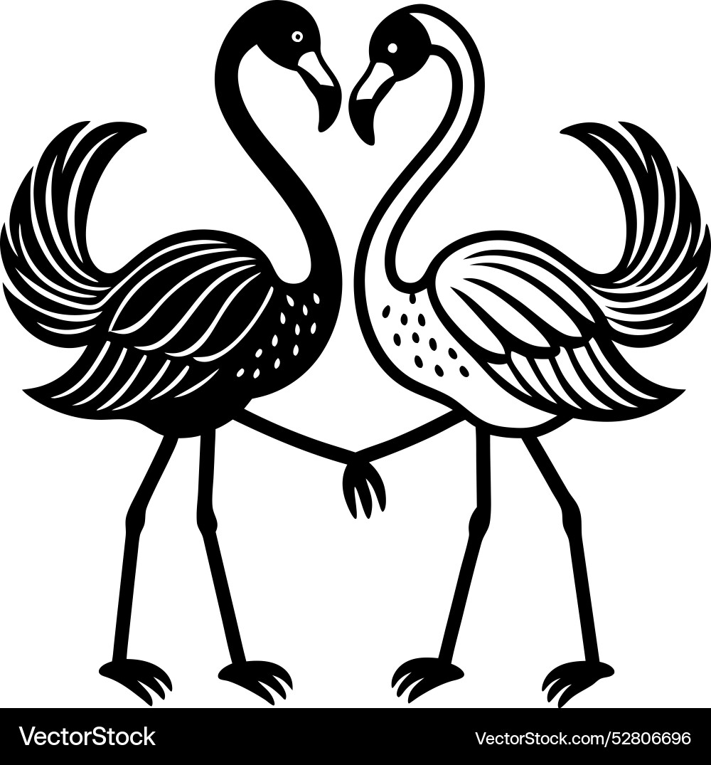 Simple pair of flamingos dancing with their necks vector image