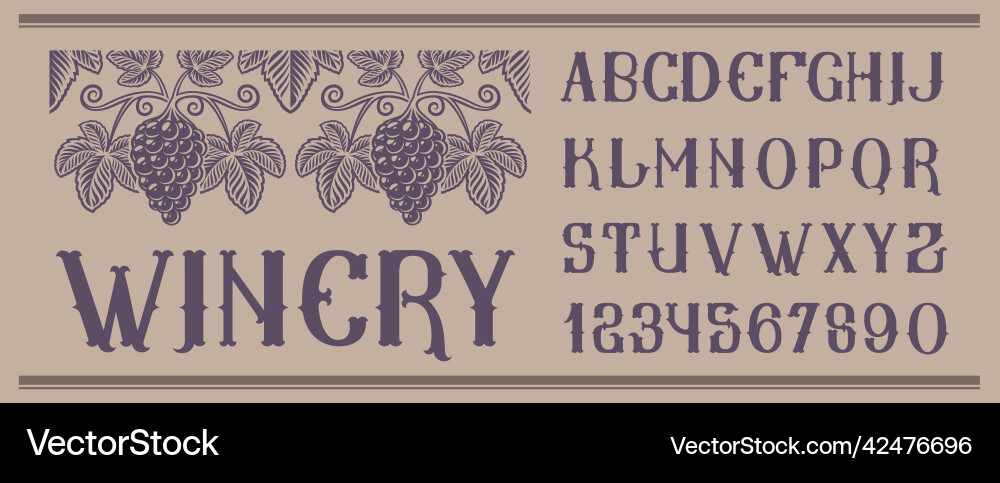 Vintage font with seamless pattern grape vector image