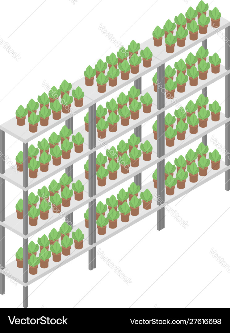 Houseplant rack icon isometric style Houseplant rack icon isometric style vector image