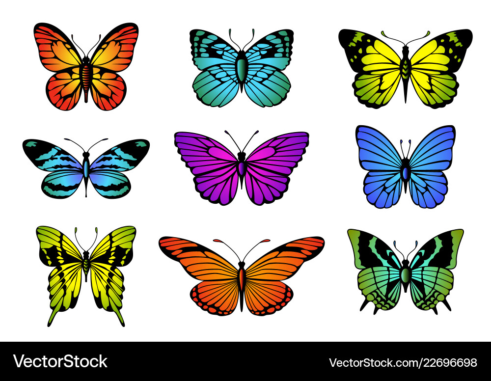 Vibrant Butterfly Collection vector image
