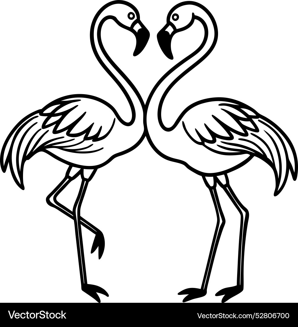 Simple pair of flamingos dancing with their necks vector image