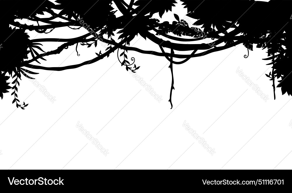 Tropical jungle liana vines silhouette background vector image