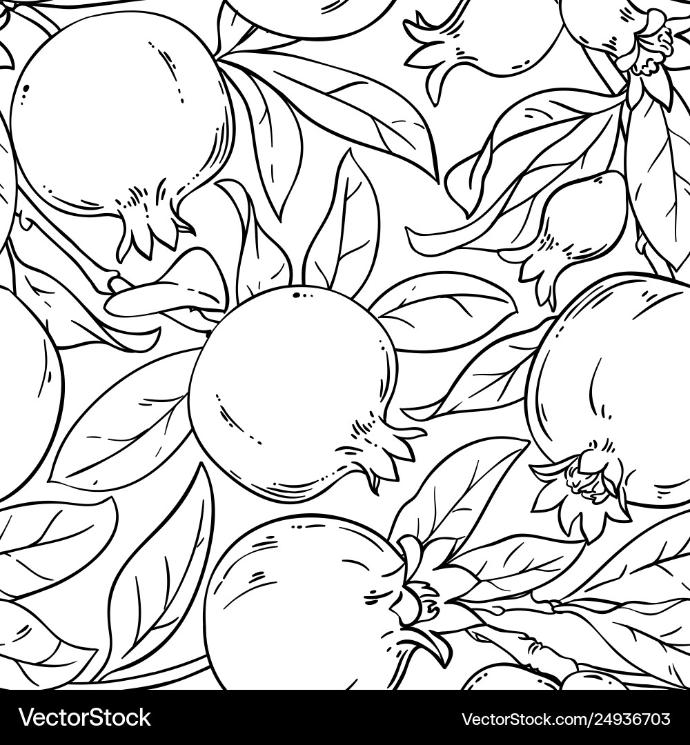 Pomegranate Branch Pattern vector image