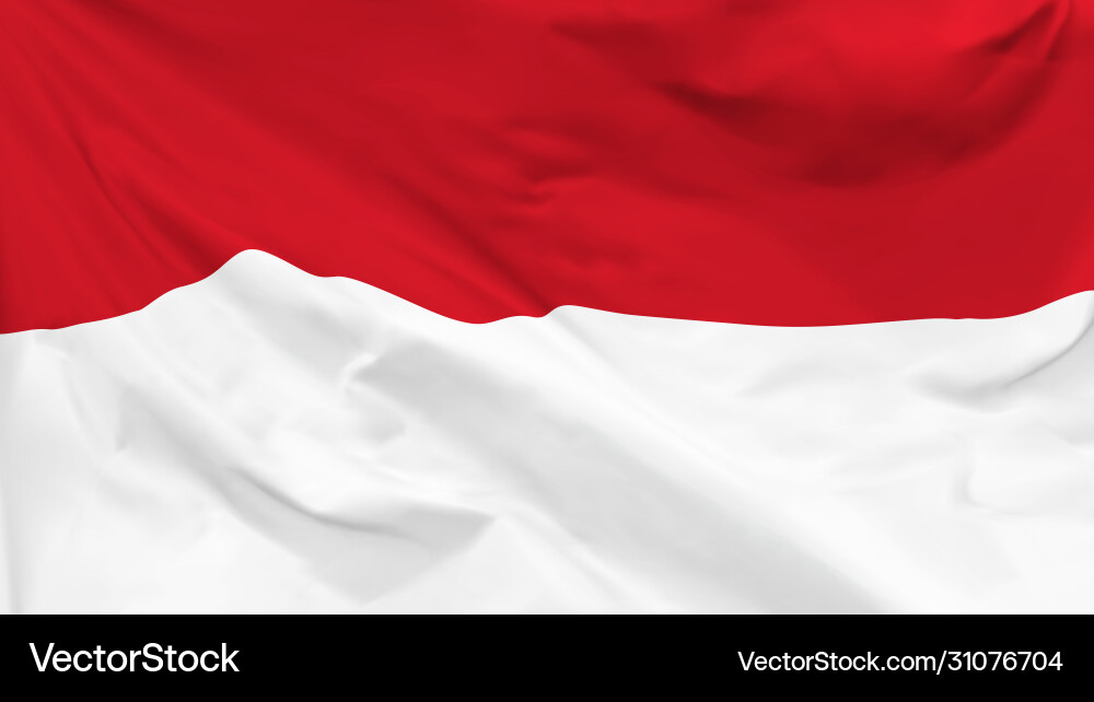 Monaco Flag Fragment Vector Image