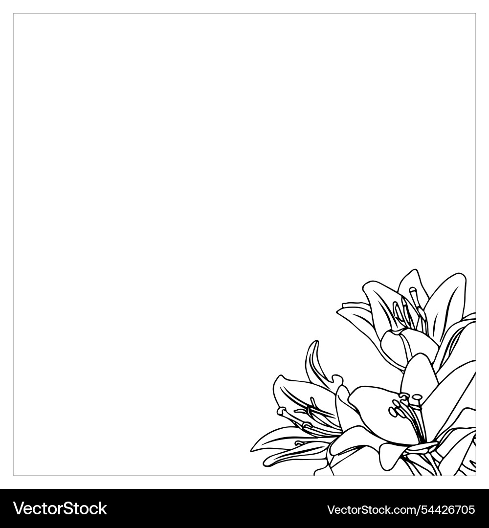 Frame with lilies in doodle style element Frame with lilies in doodle style element Vector Image