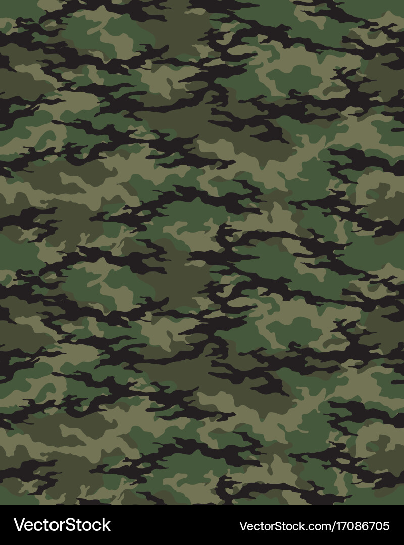 Modern Camouflage Pattern Vector Image