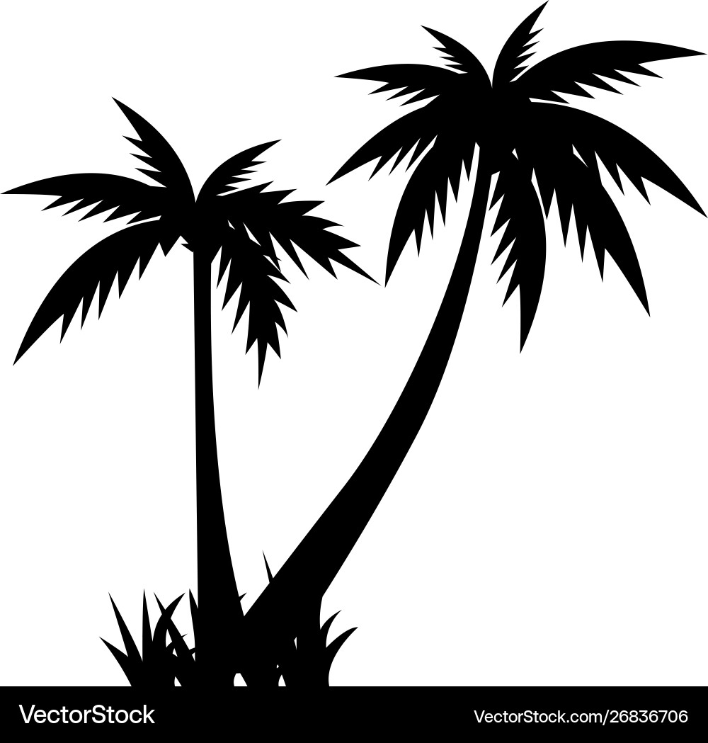 Tropical Palm Tree Silhouette Vector Image