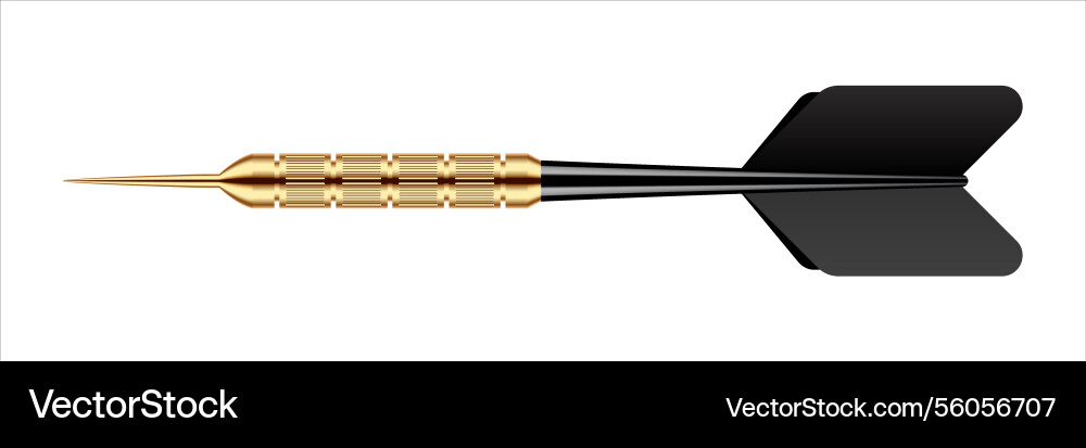 Dart arrow with metal tip and shadow Dart arrow with metal tip and shadow vector image