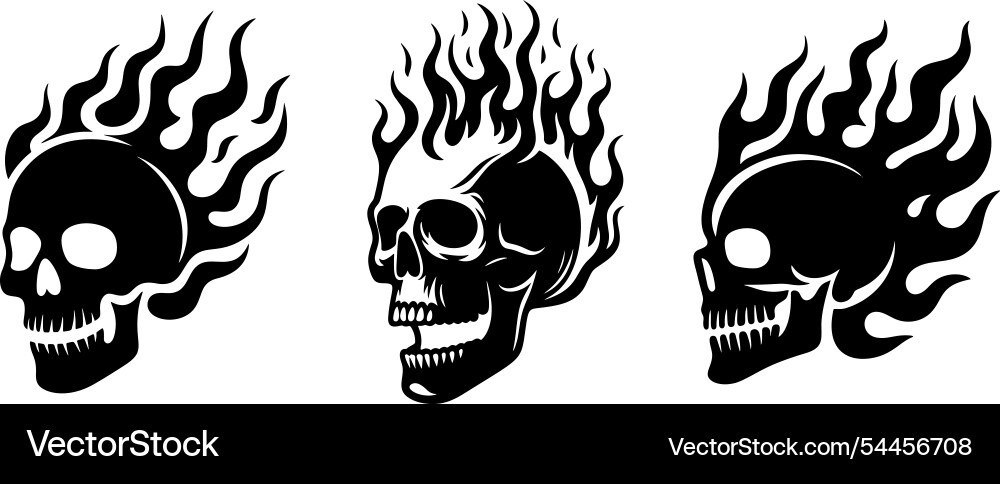 Three flaming skulls in different views Three flaming skulls in different views vector image