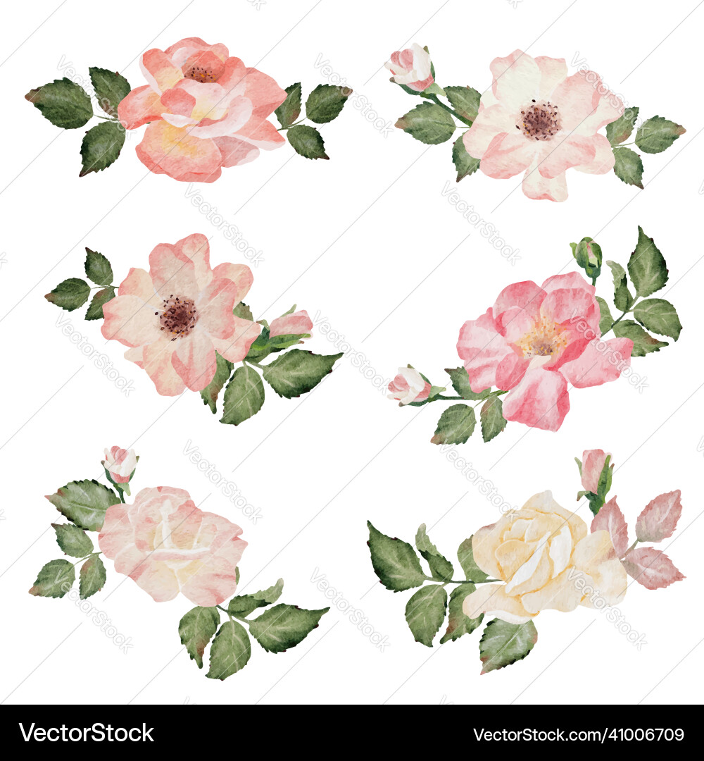 Aquarell blooming Rose Zweig Blumenstrauß Aquarell blooming Rose Zweig Blumenstrauß vektorbild