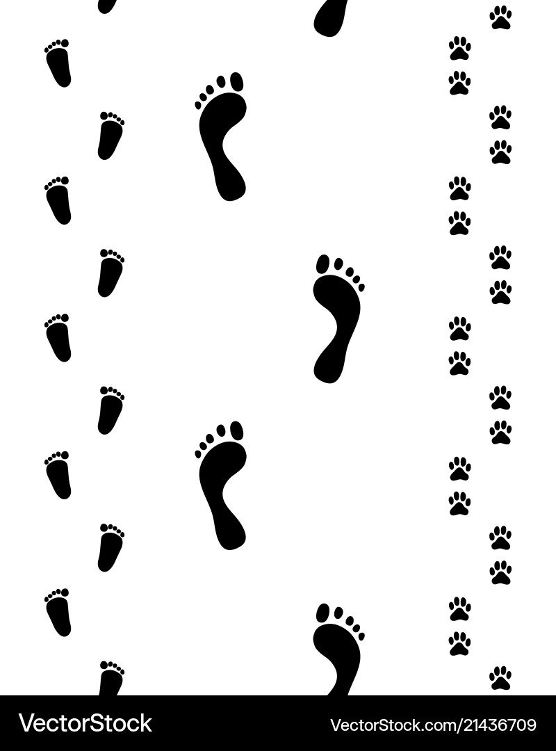 Prints of feet and paws Prints of feet and paws vector image