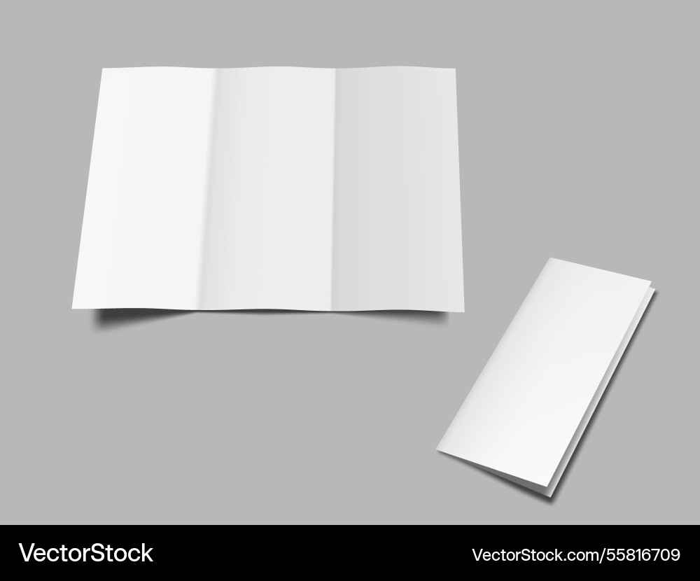 White blank three sheets fold leaflet with shadow White blank three sheets fold leaflet with shadow Vector Image