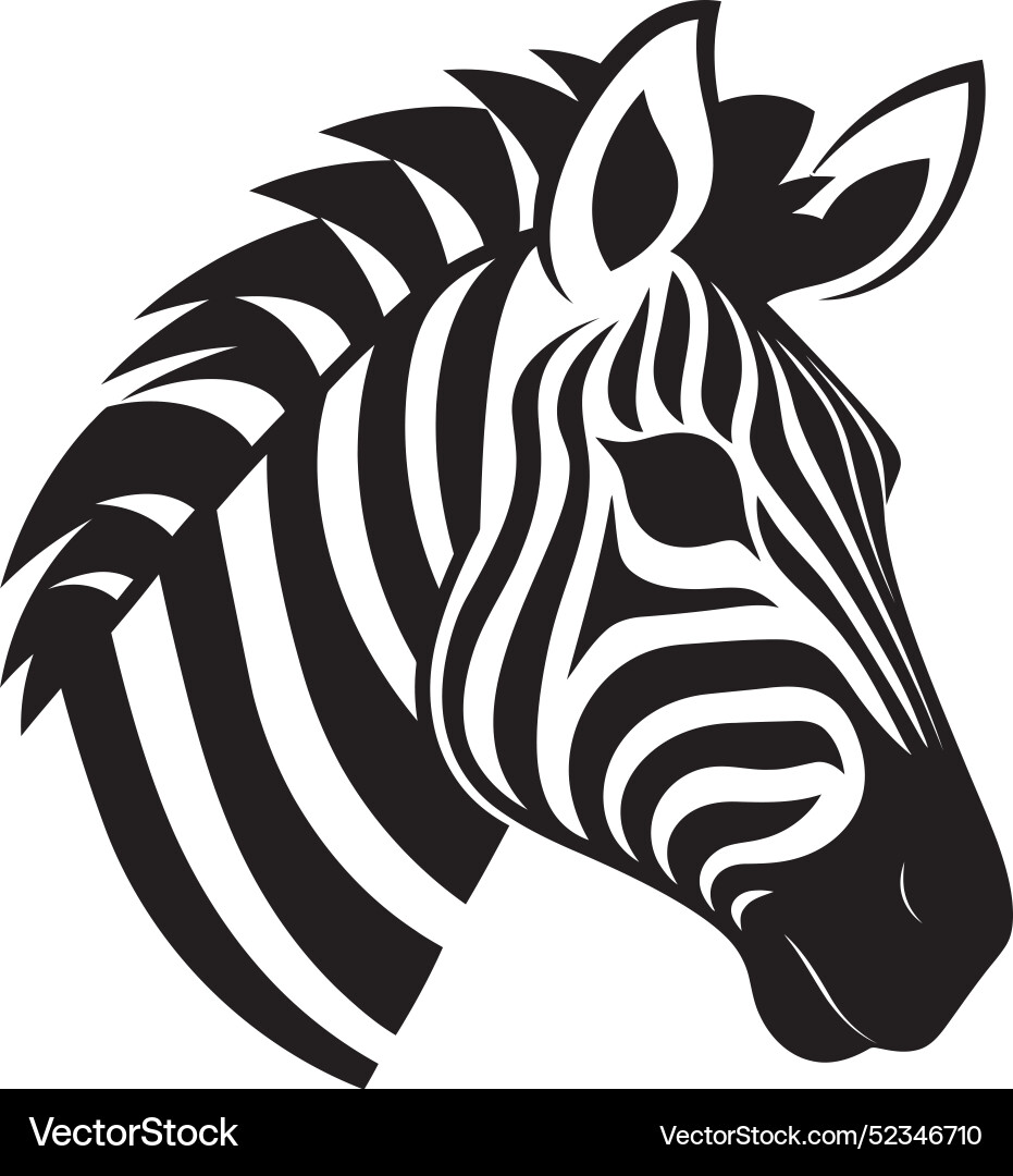 Elegant patterns zebra showcase vibes Elegant patterns zebra showcase vibes vector image
