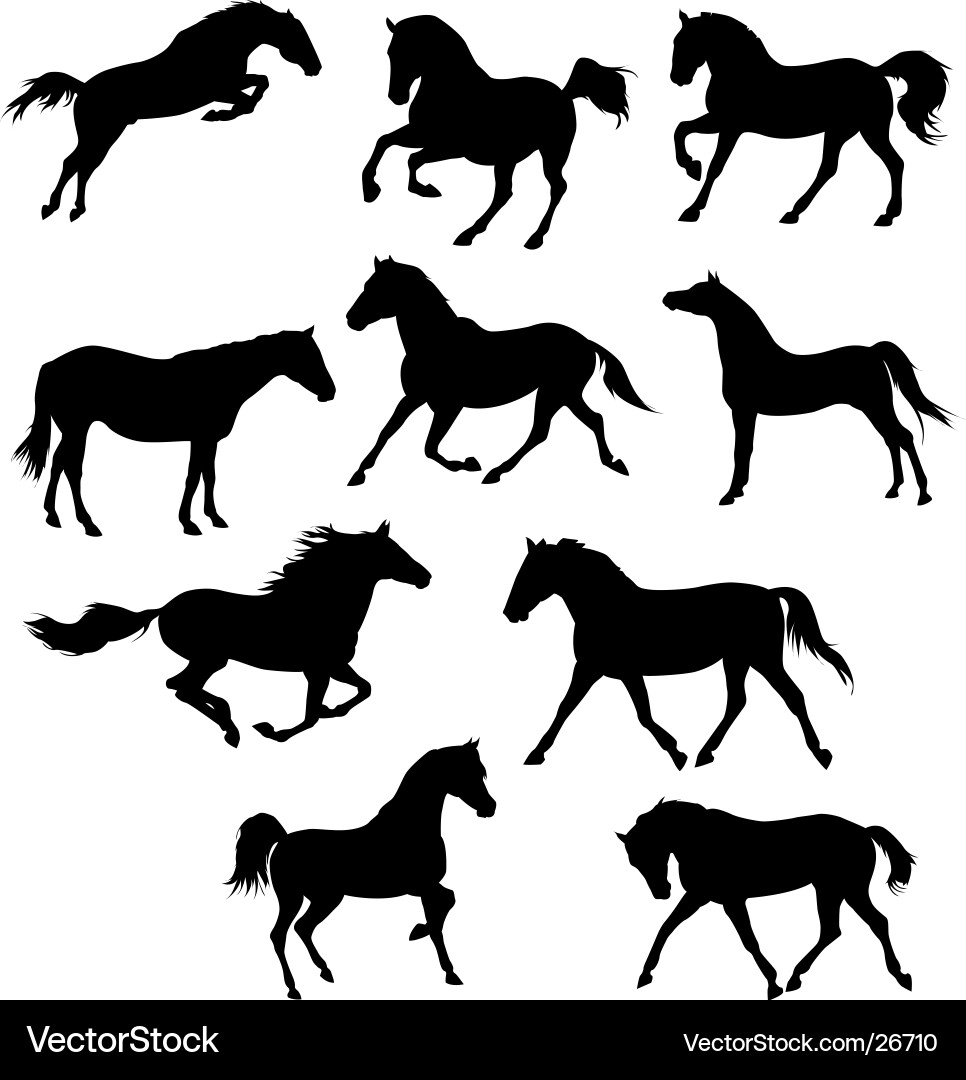 Horse Silhouettes - Dynamic Movement vector image