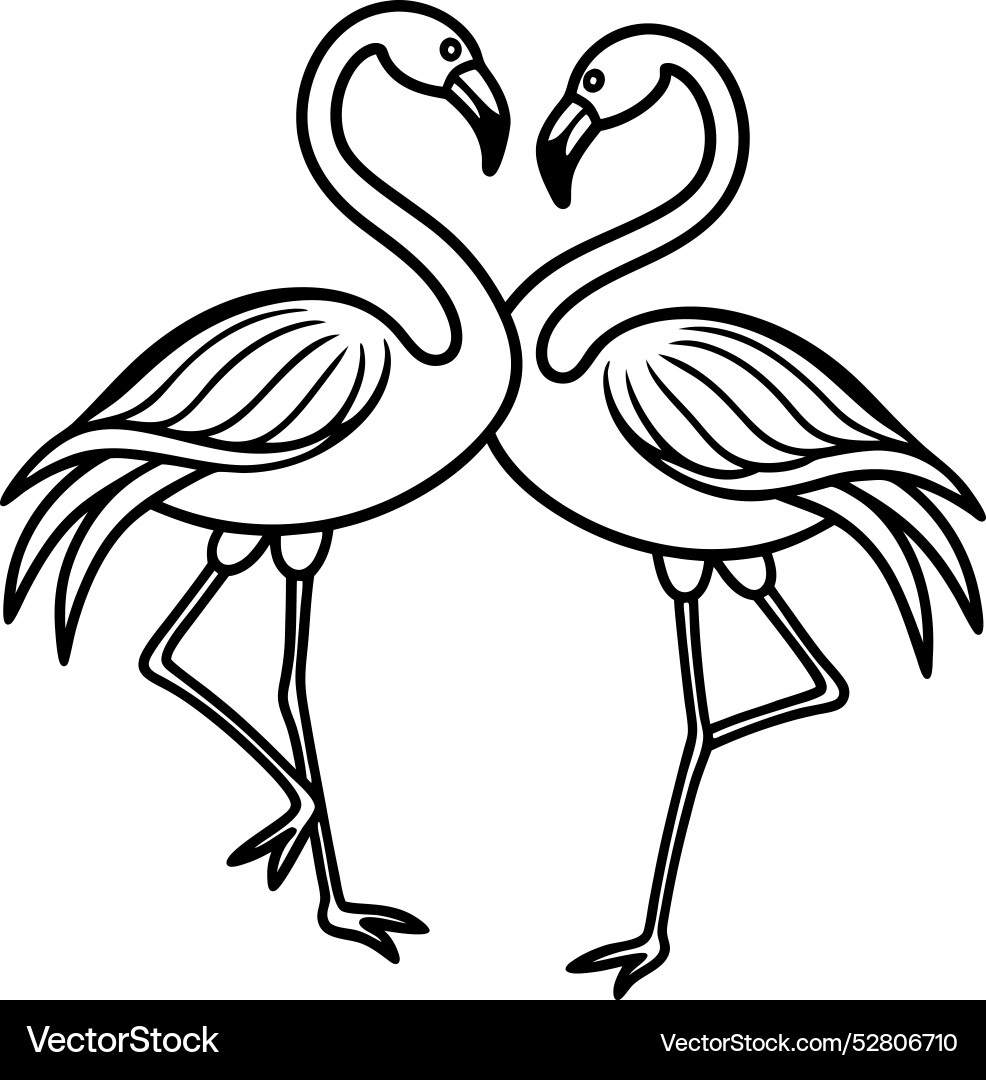 Simple pair of flamingos dancing with their necks vector image