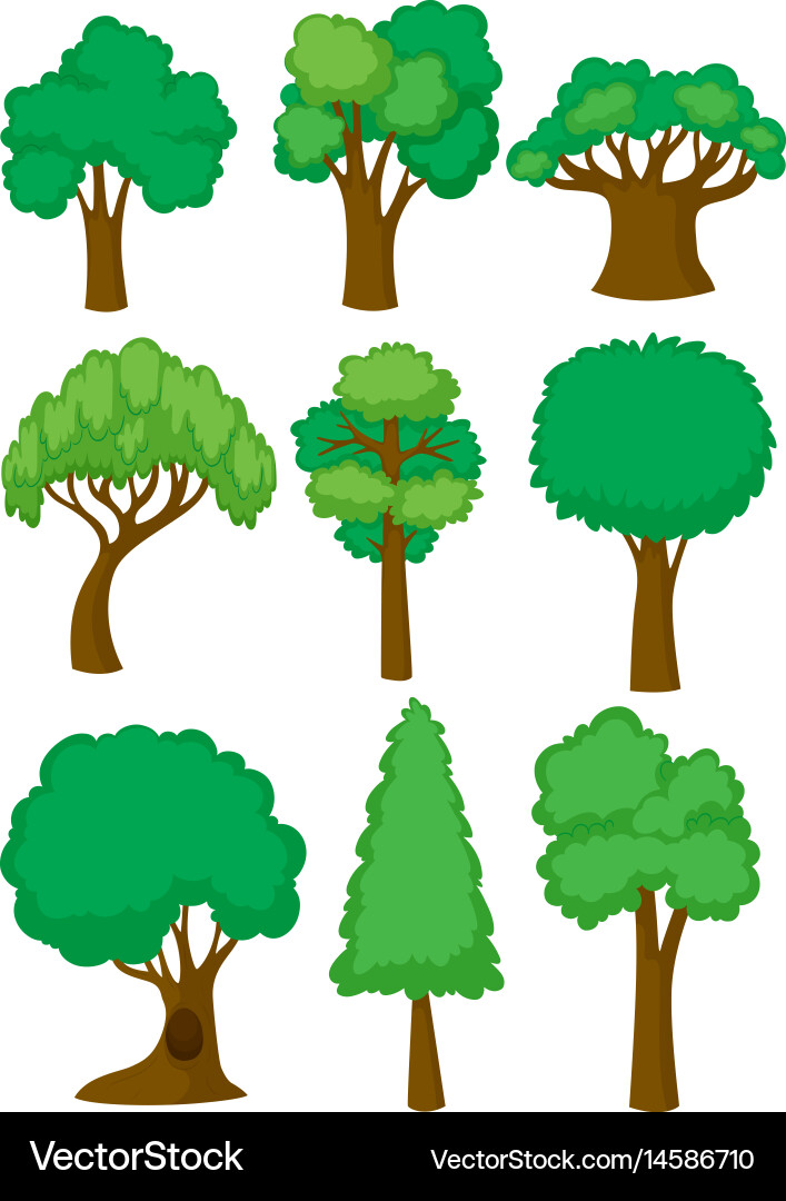 Tree Shapes and Forms vector image