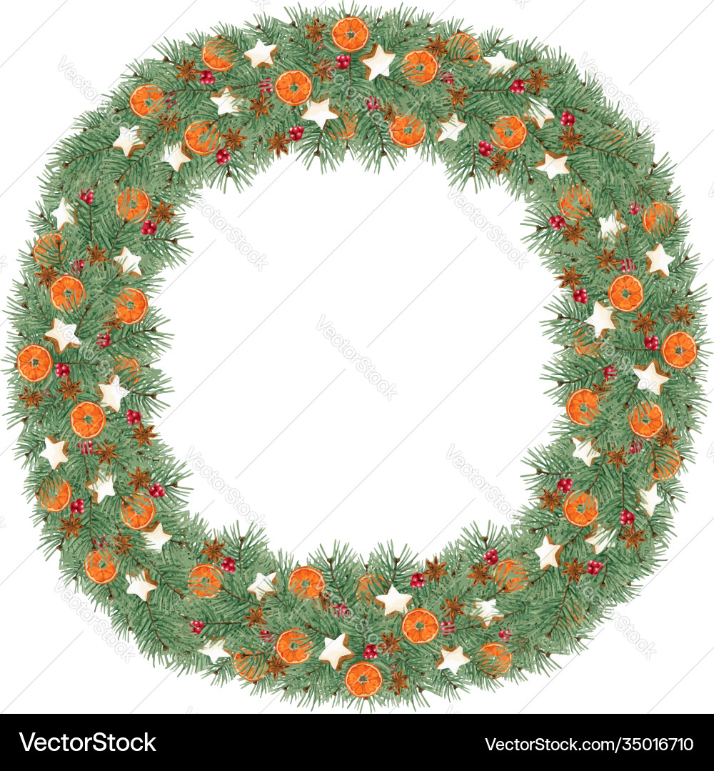 Watercolor christmas wreath with pine anise star Watercolor christmas wreath with pine anise star vector image