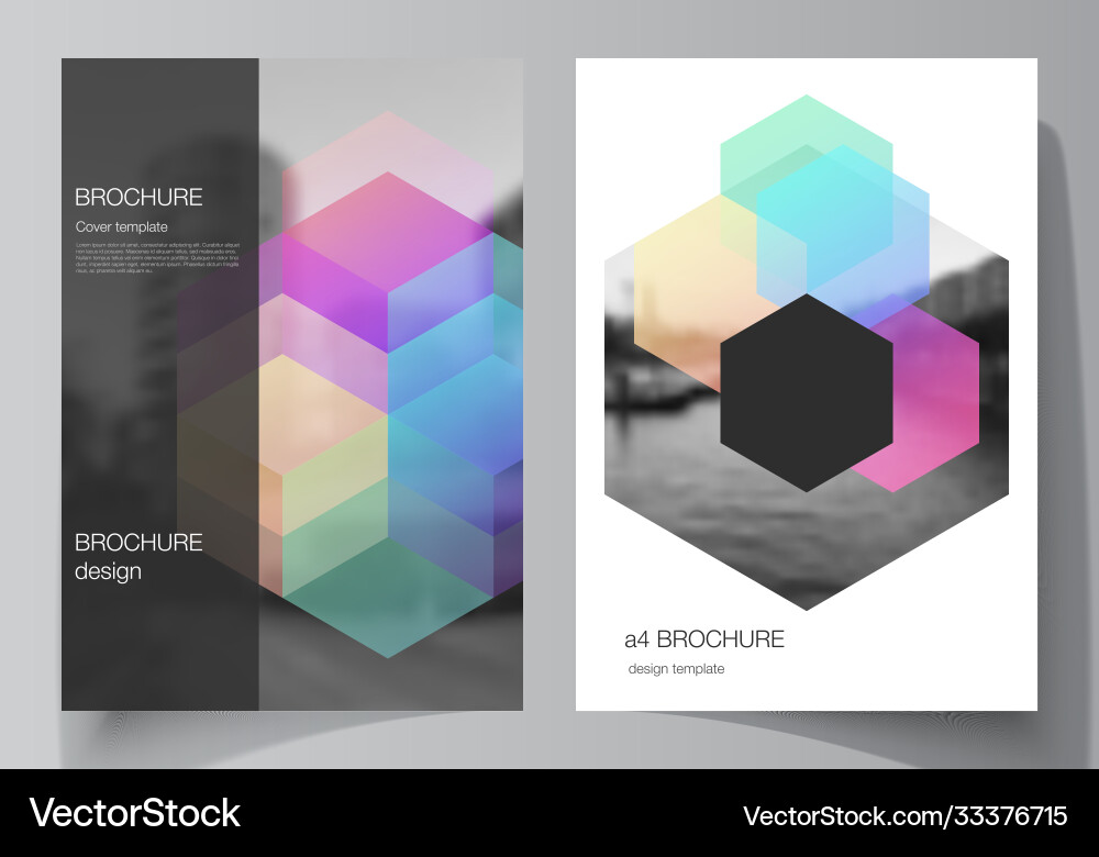 Layout a4 format cover mockups design Layout a4 format cover mockups design vector image