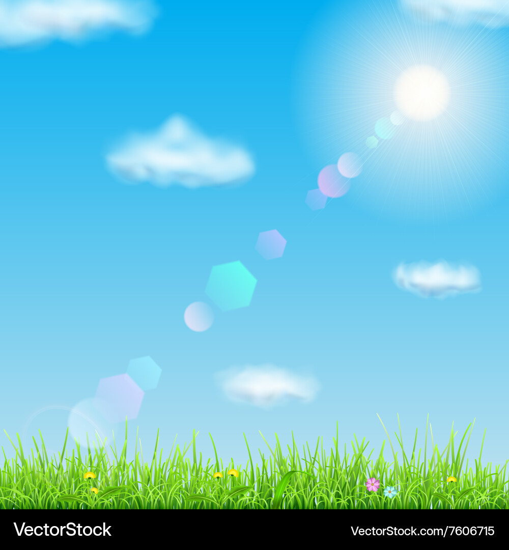 Spring Meadow Landscape vector image
