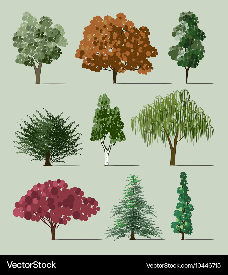 Tree Sketch Collection vector image