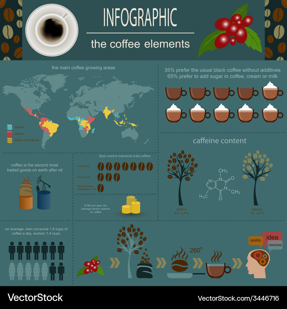 Coffee infographics set elements for creating Vector Image