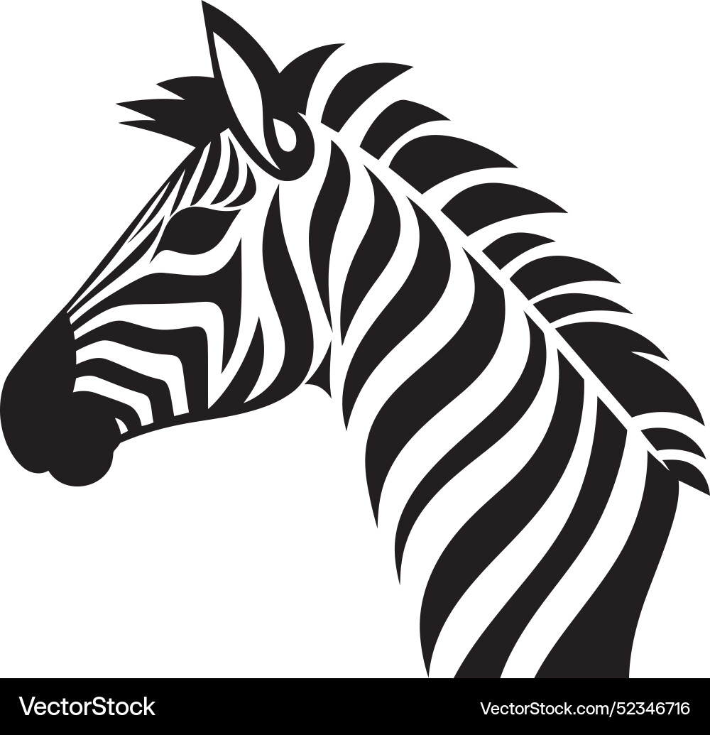 Dynamic patterns zebra collectioncontour capture Dynamic patterns zebra collectioncontour capture Vector Image
