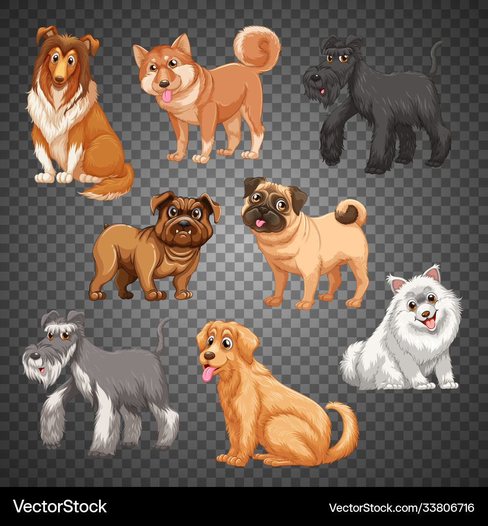 Set different dogs isolated Royalty Free Vector Image