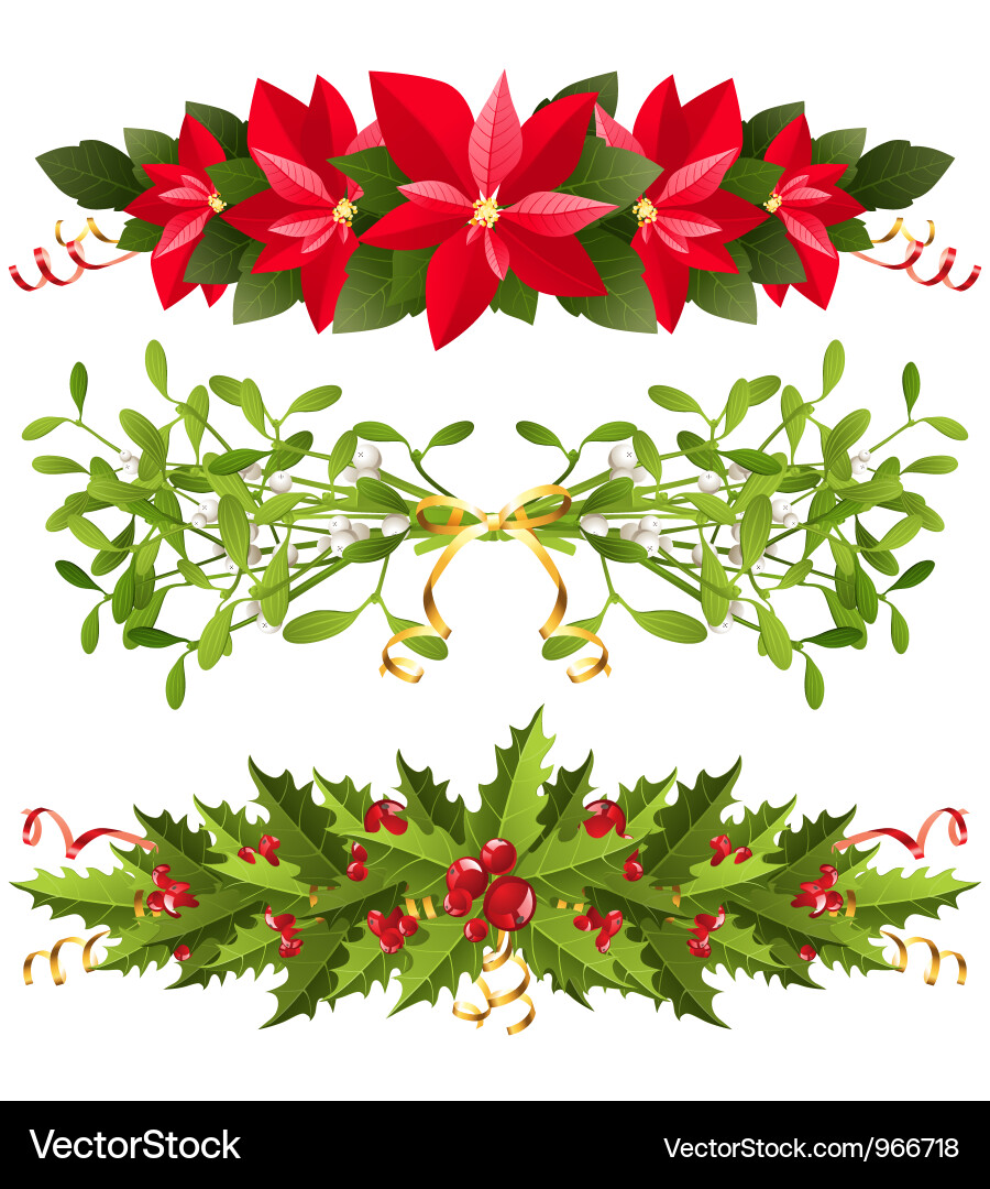 Christmas Floral Borders Vector Image