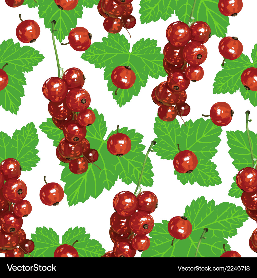 Corinth Set in Berry Red main image 1