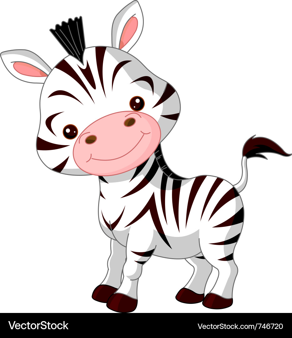 Adorable Baby Zebra Vector Image