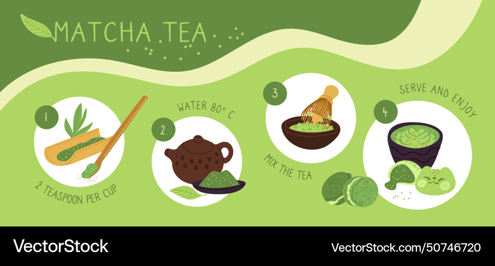 Matcha cooking instruction powdered green tea Vector Image