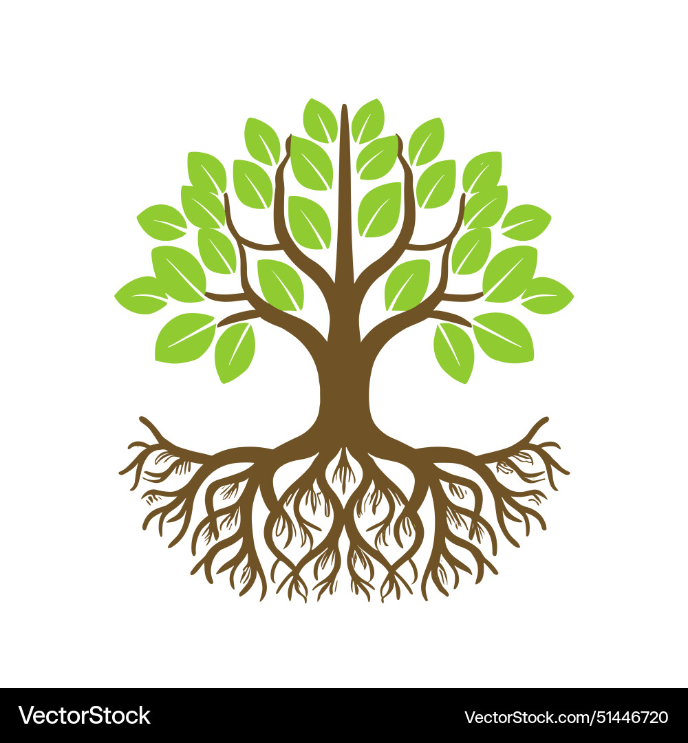 Tree with roots Tree with roots Vector Image
