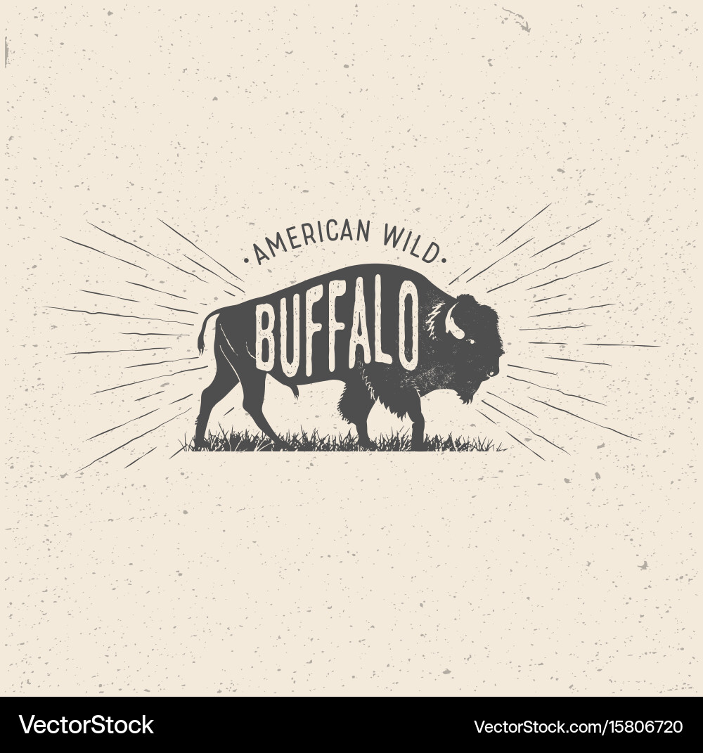 Vintage Buffalo Stamp Vector Image