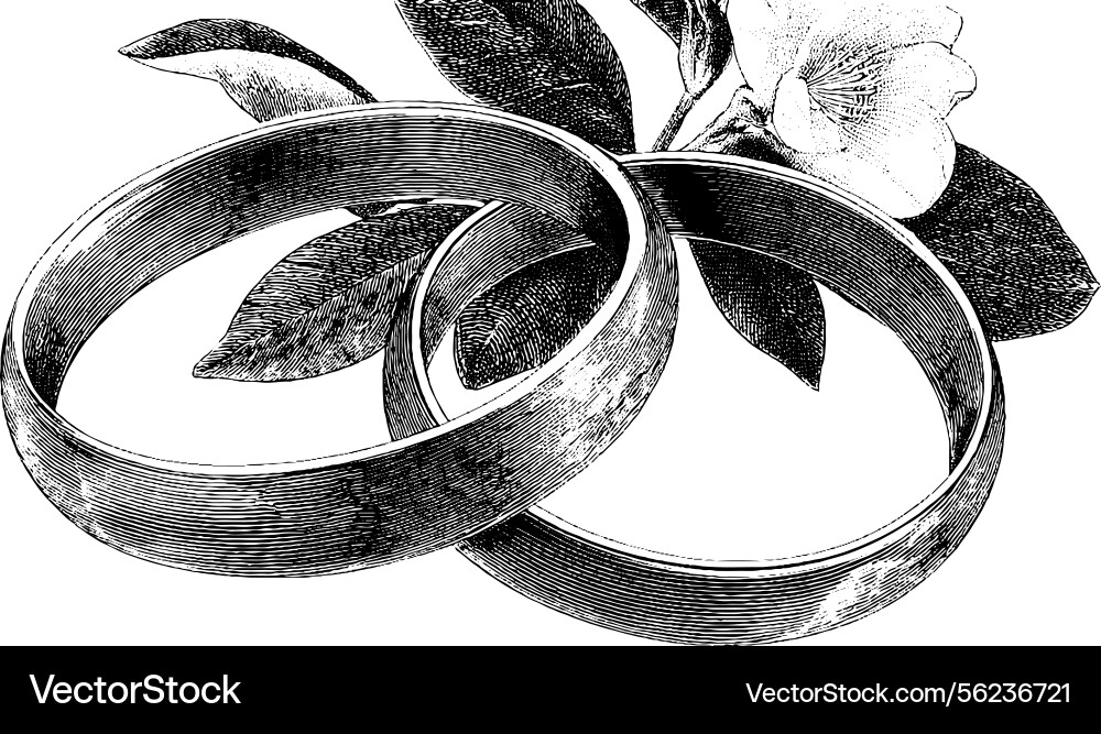 Elegant wedding table setting with floral Elegant wedding table setting with floral vector image